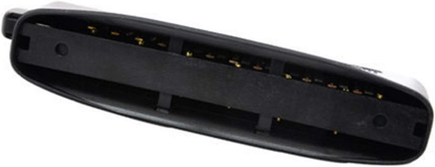 Harmonica 12 Hole Chromatic Harmonica Professional Musical Instrument Mouth Organ Semi-Matte ABS Cover