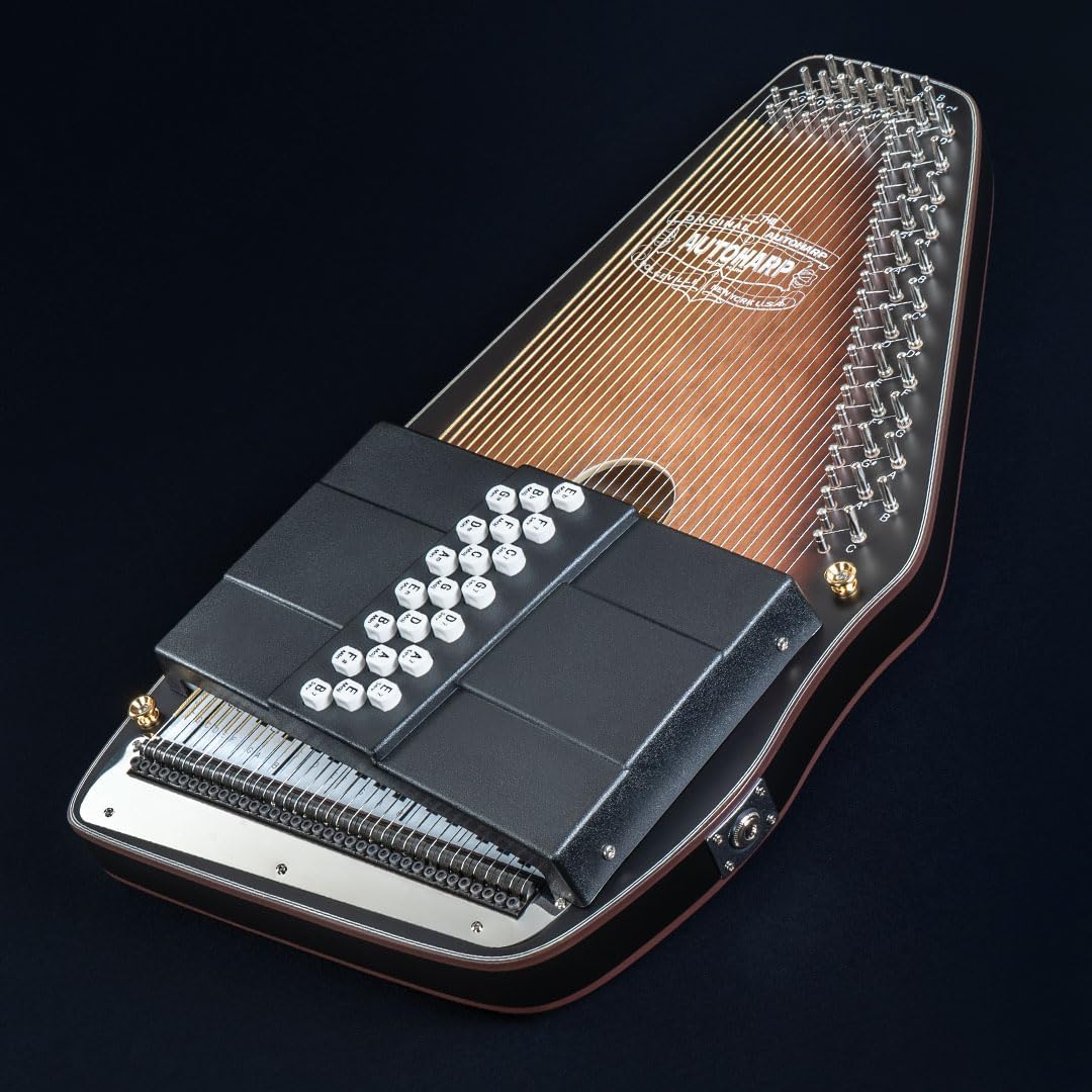 Autoharp by Oscar Schmidt OS11021AE 