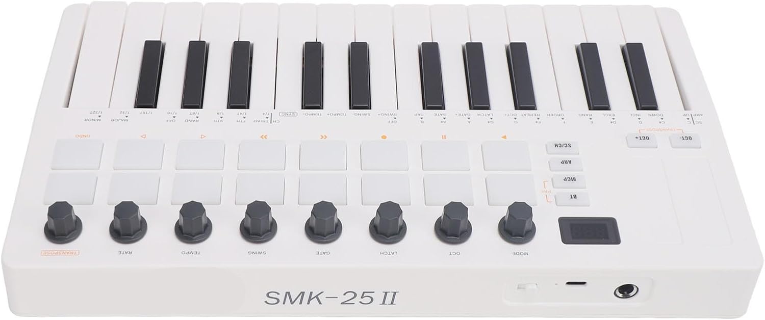 25 Key MIDI Keyboard Controller BT for Music Production, Smart Chord, with 16 RGB Backlit Pads, Compact and Portable for Practice Performance