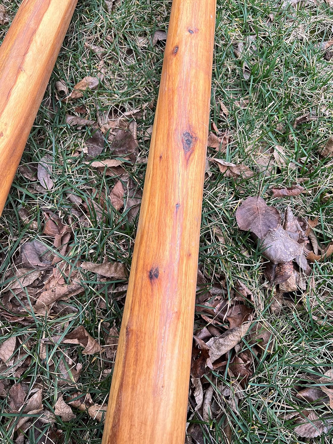 Handmade Didgeridoo Root Eucalyptus 59