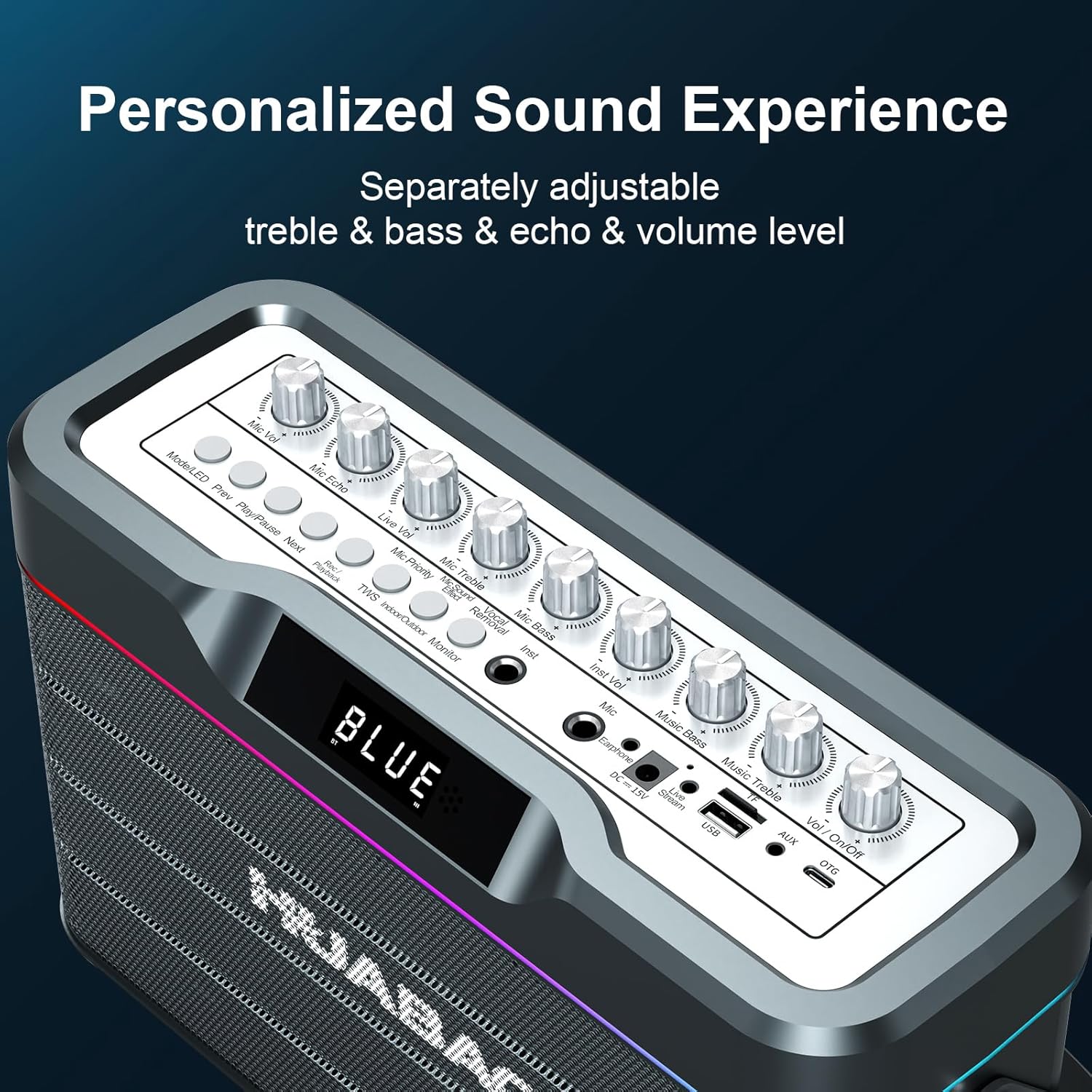 Karaoke Machine - 100W Bluetooth Speaker with Super Bass, 2 Wireless Microphones, Portable PA System with LED Lights, TWS Pairing, Bass/Treble/Echo Adjustment, Professional Loudspeaker