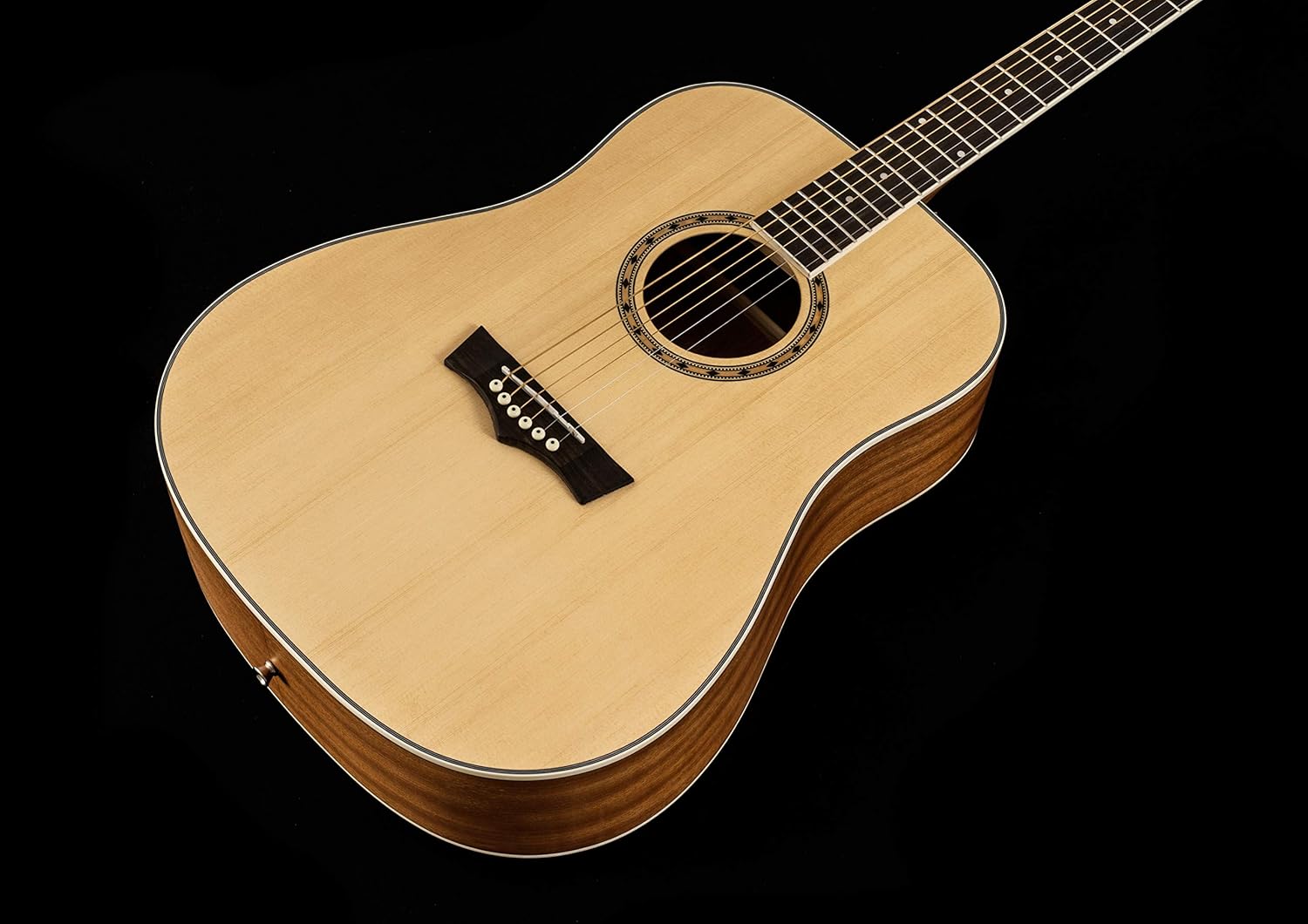 Peavey Delta Woods DW-1 Acoustic Guitar