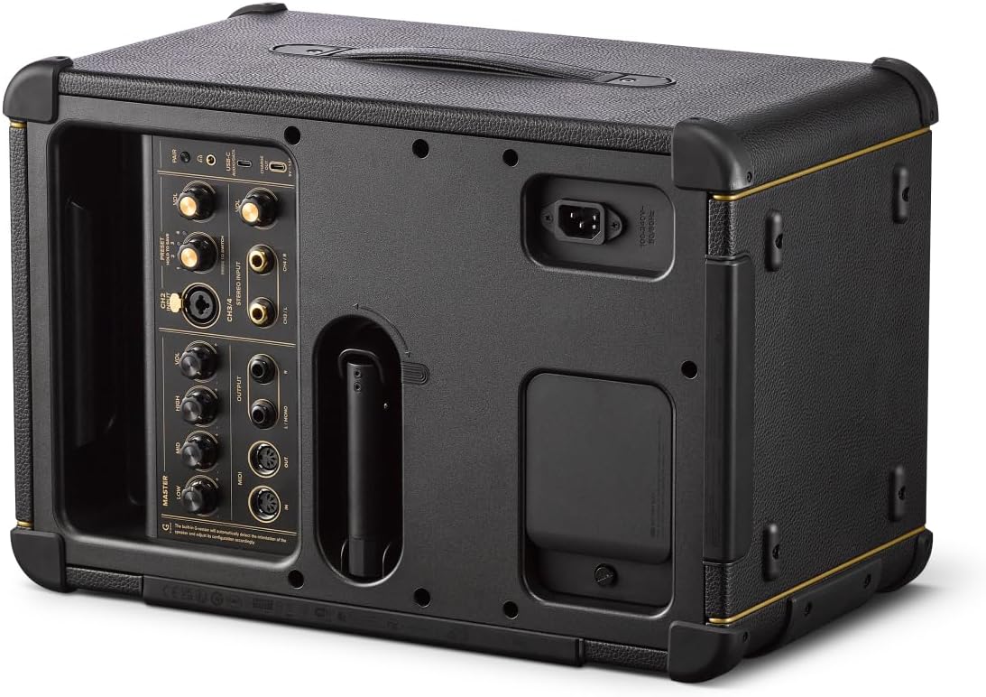 Positive Grid Spark Live Smart Guitar Amp, Multi-Channel PA System & Bluetooth Speaker All-in-One for Guitar, Bass, Vocals, Keyboards and More.