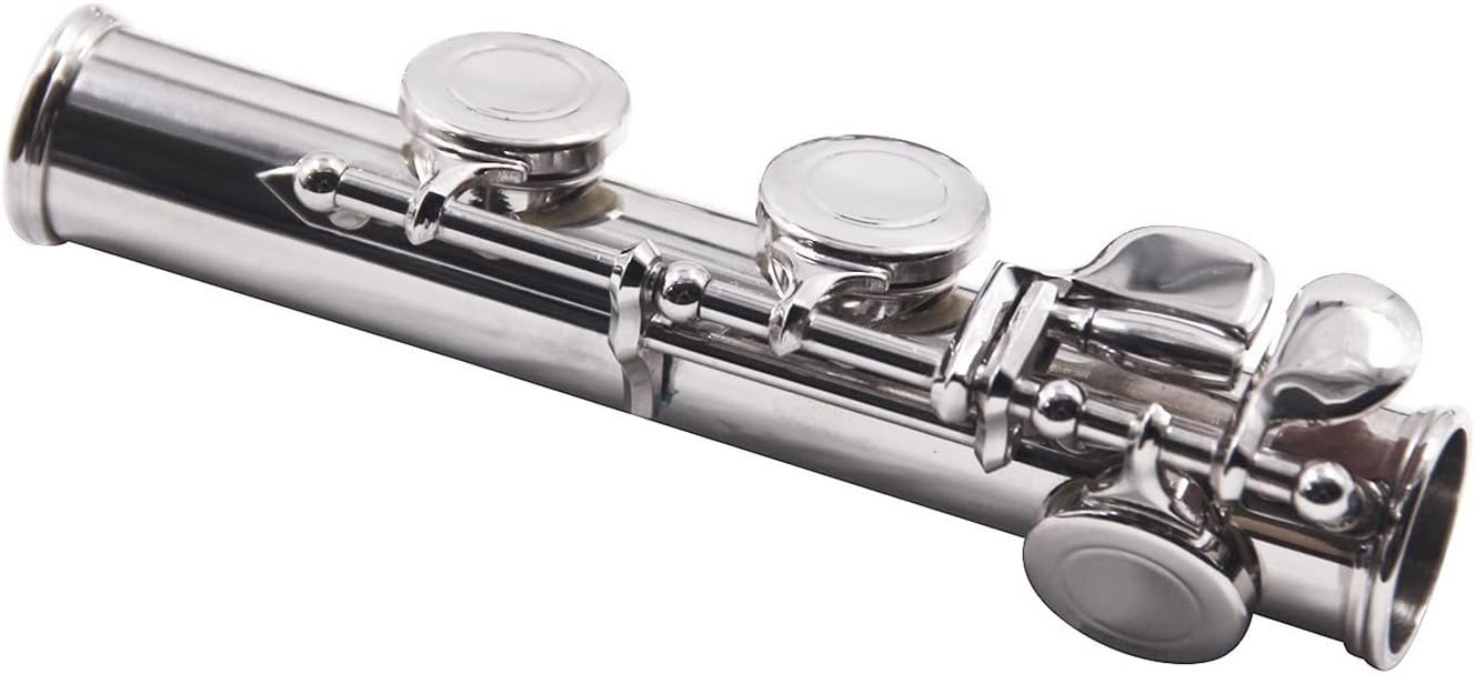 Flute Musical Instrument Closed Hole C Flute 16 Keys Cupronickel Nickel- Plated Wind Instrument with Carry Case Cleaning Cloth Gloves Starter Flute