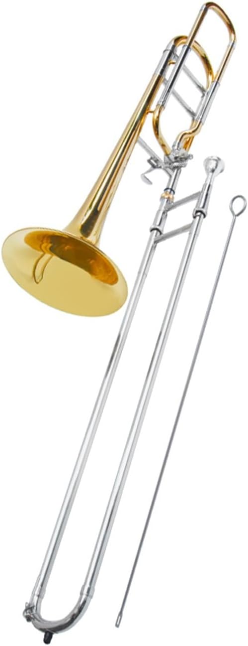 Adult Trombone Instrument Tenor Trombone Flat Brass Instrument Performance Practice Professional