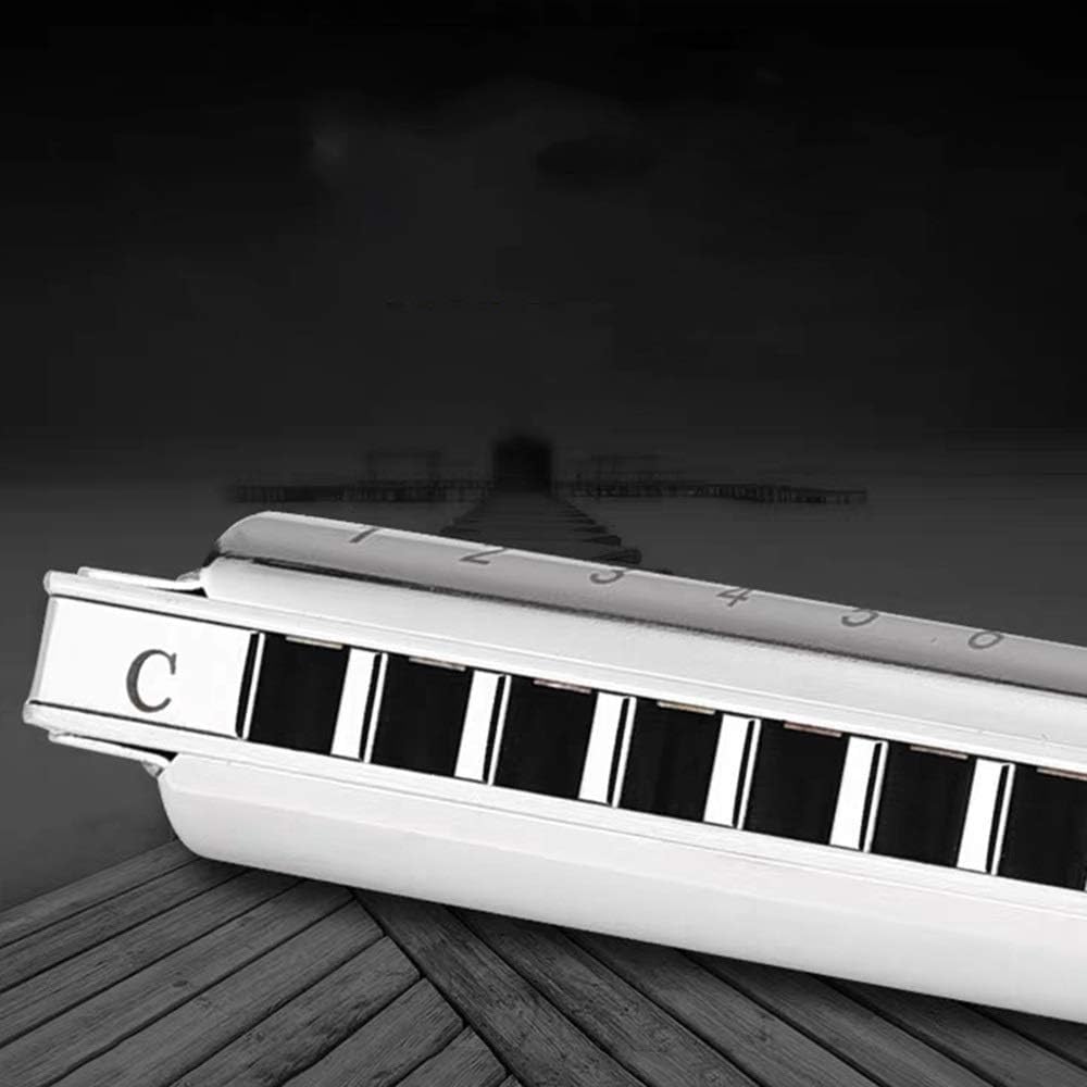 Harmonica Diatonic Harmonica 10 Holes Blues Harp Mouth Organ Key C Phosphor Bronze Reeds Professional Musical Instruments