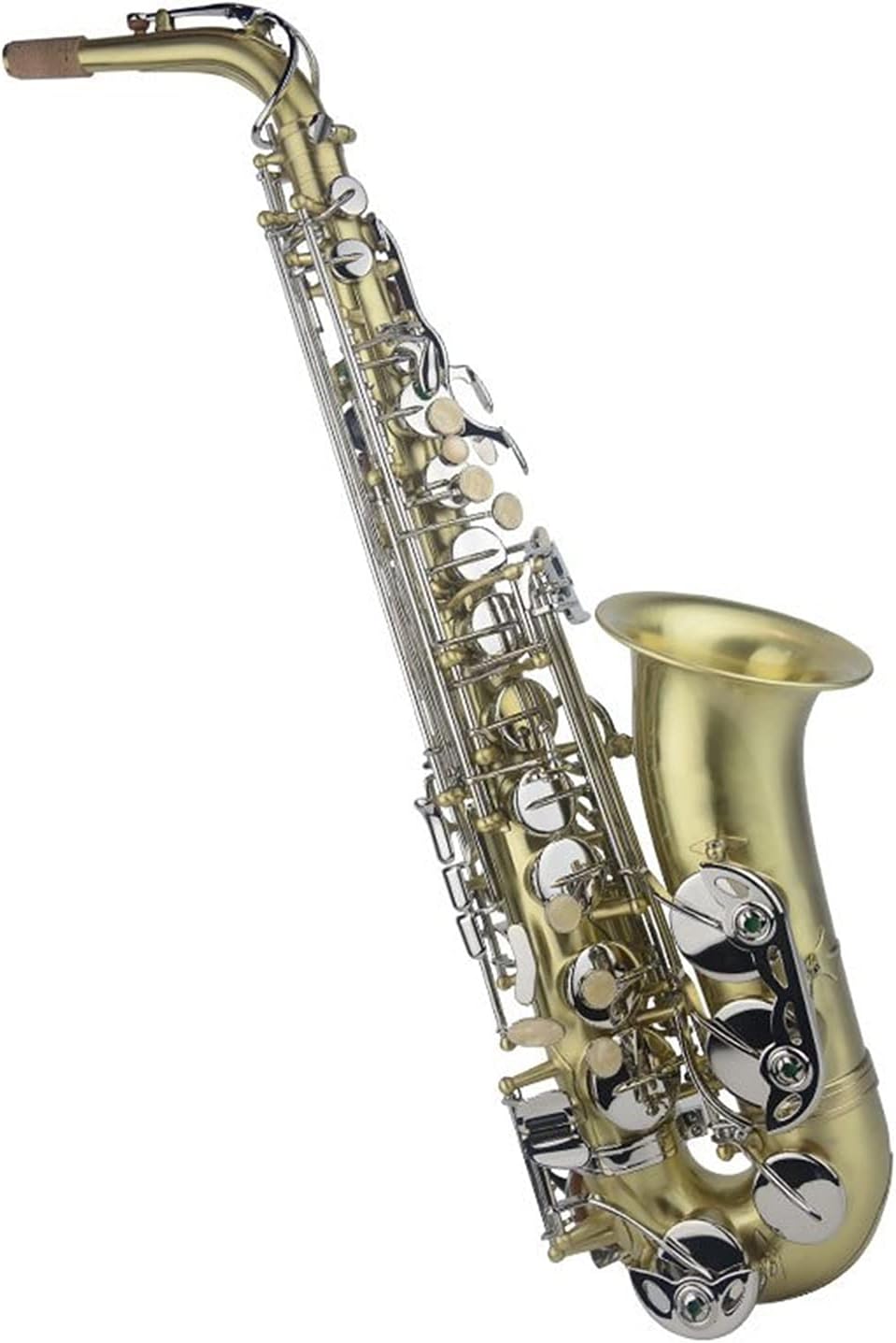 Sax Beginners Kit Alto Saxophone Nickel Plated Gold Key Super Professional Sax with Mouthpiece Wind Instrument