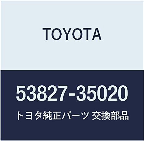 TOYOTA Genuine Part Front Fender Side Panel Protector RH