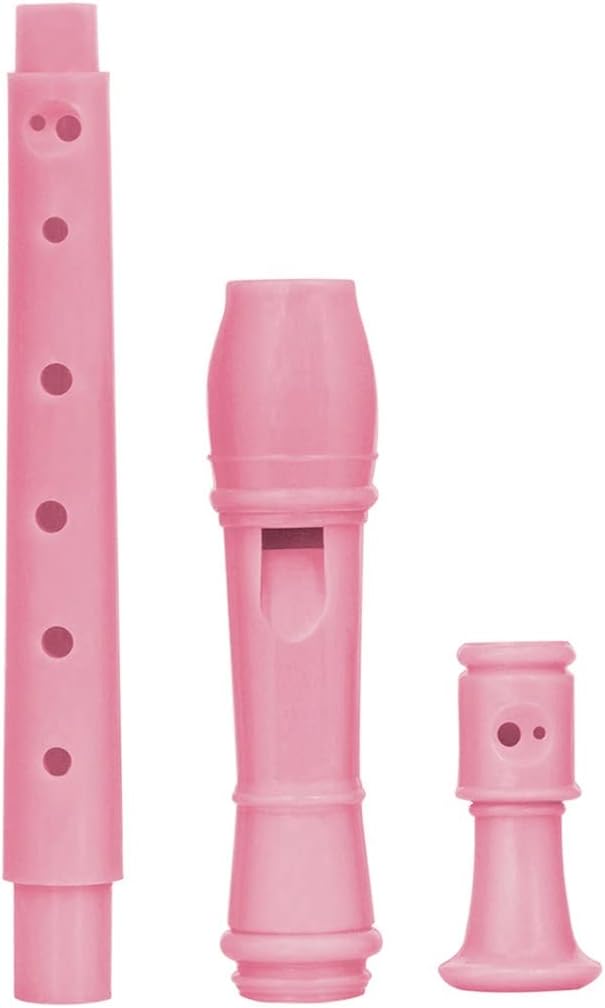 Professional Eight Hole Treble Long Flute Soprano Recorder Clarinet Recorder Flute Woodwind Instruments(A)