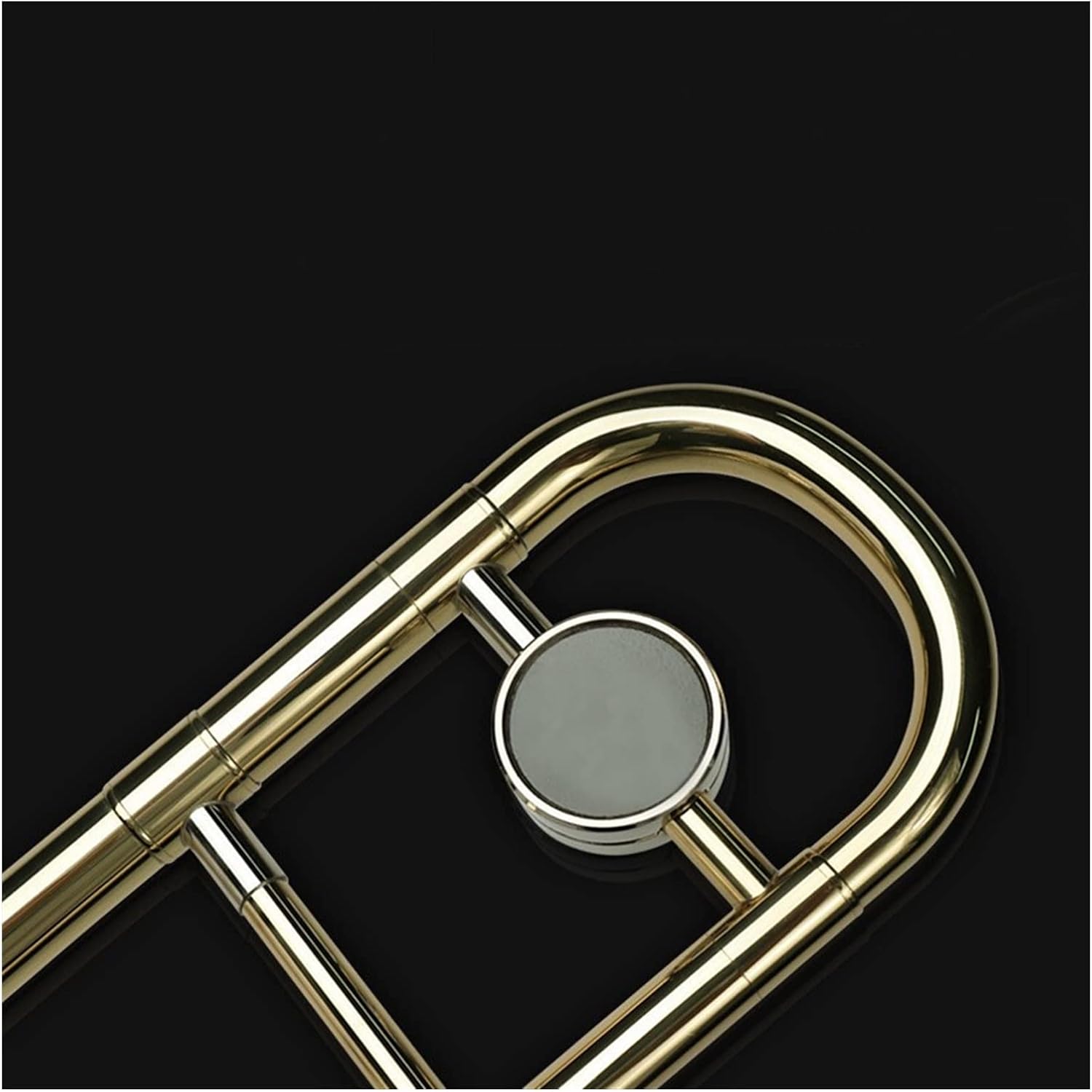 TSTS B to F Tenor Trombone Brass Instrument Beginner Trombone (Color : Alto B Flat)