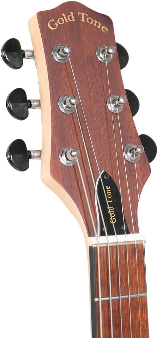 Gold Tone EB-6 Electric Banjitar