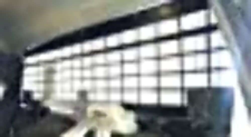 Westin Automotive 35-12035 Defender Series Window Guard Window Guard