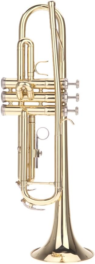 Trumpet Bb B Flat Brass Trompetas Instrumento with Mouthpiece Gloves for Standard Student Beginner and Teacher