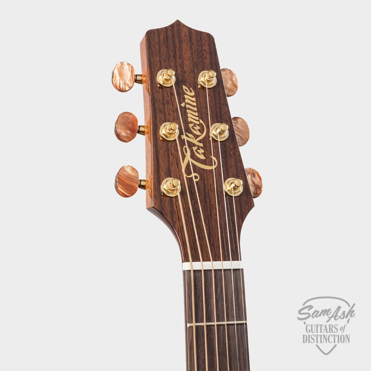 TSF40C NEX Santa Fe Series Acoustic-Electric Guitar Cutaway Natural # 62020298