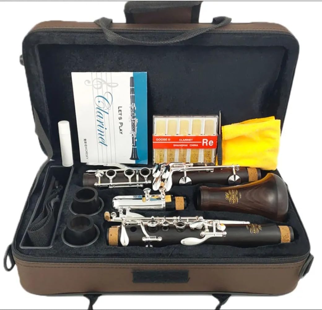 Bb Clarinet – Professional Woodwind Instrument with Ebony Body, 17 Silver-Plated Keys, Grenadilla Mouthpiece – Sib Klarnet for Beginners, Students & Advanced Musicians, M601 Model