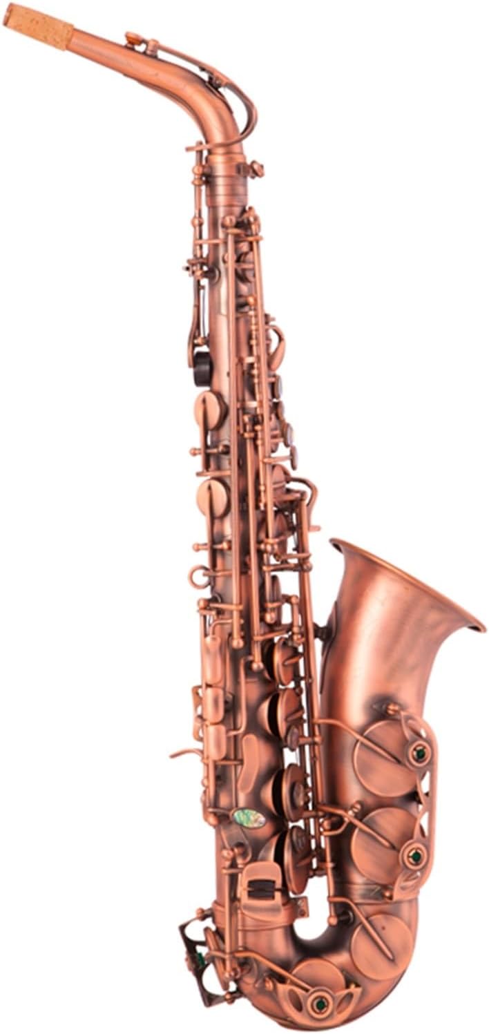 E Flat Alto Saxophone Woodwind Instrument Professional Beginners Grade Exam Matt Red