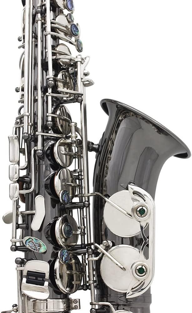 TSTS EB Alto Saxophone Woodwind Instrument Black Nickel with Case Brass Sax Full Kit (Color : 1)