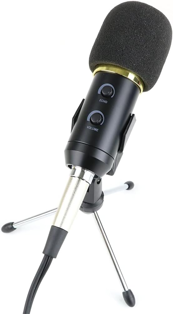 USB Bm 900 Microphone Condenser Microphone for Computer Recording Studio Recording Microphone with Stand (Color : Silver, Size : BM 900)