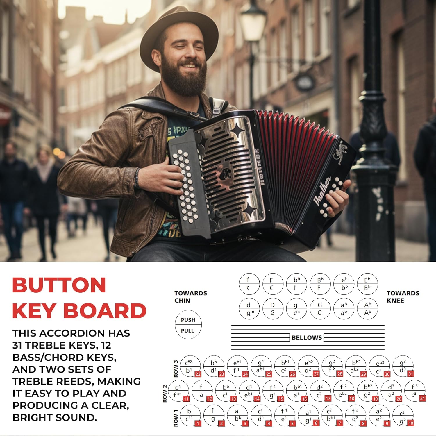 Hohner Panther Diatonic Accordion - Keys F/Bb/Eb Bundle with Hard Case and Austin Bazaar Polishing Cloth