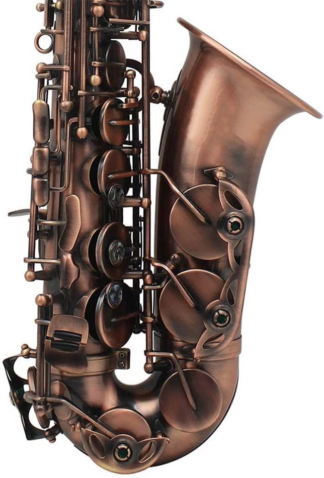 Professional EB Alto Saxophone Brass E Flat Sax Musical Woodwind Instrument with Accessories