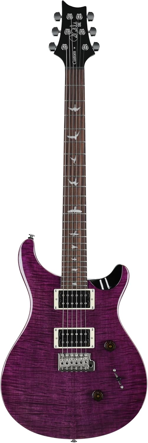 PRS SE Custom 24 Exclusive with Gig Bag, Amethyst