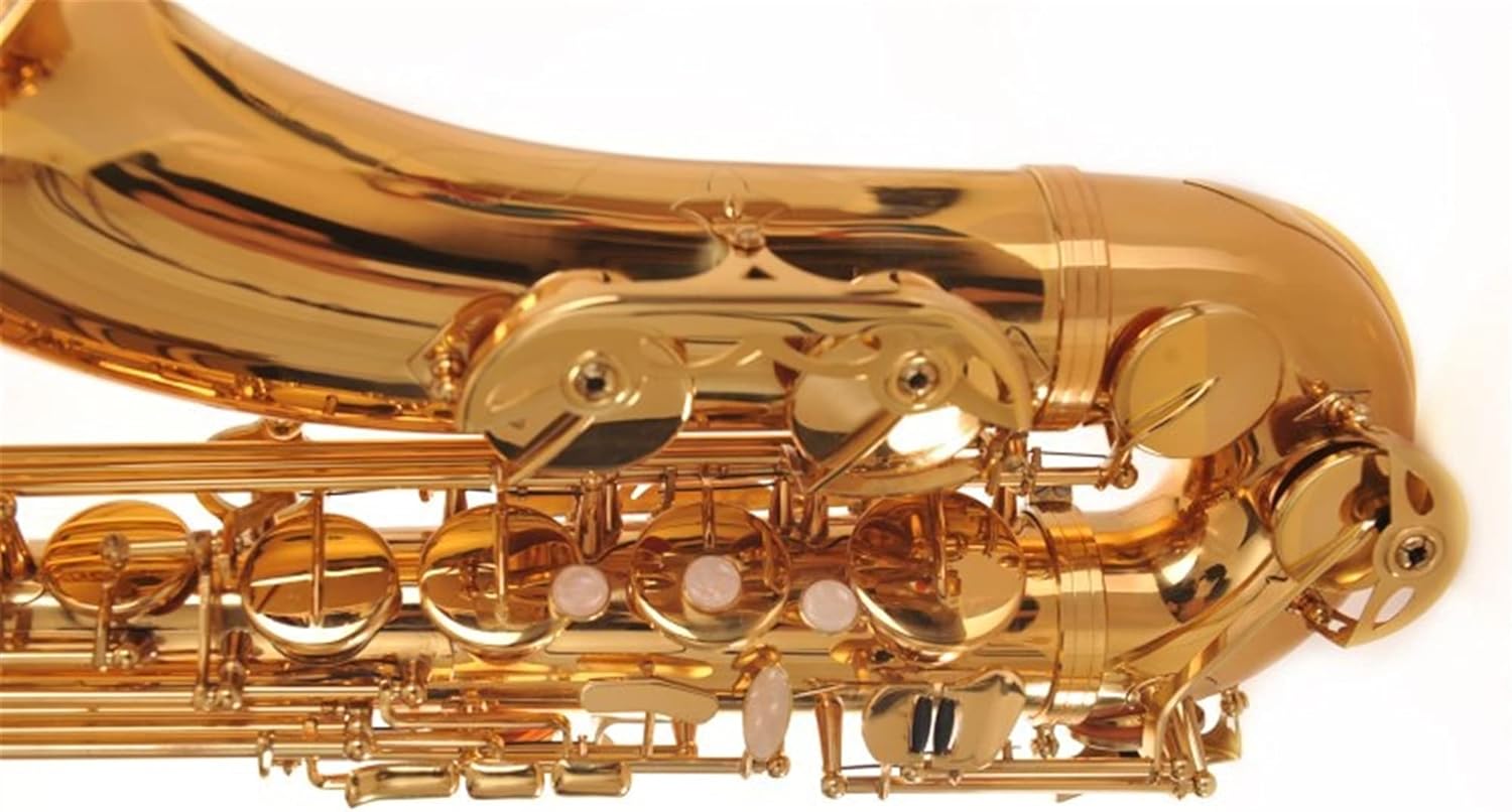 Professional Saxophone B Flat Tenor Saxophone/Wind Instrument Electrophoresis Golden Saxophone is Suitable for Beginner Bands Brass Sax Beginners Kit