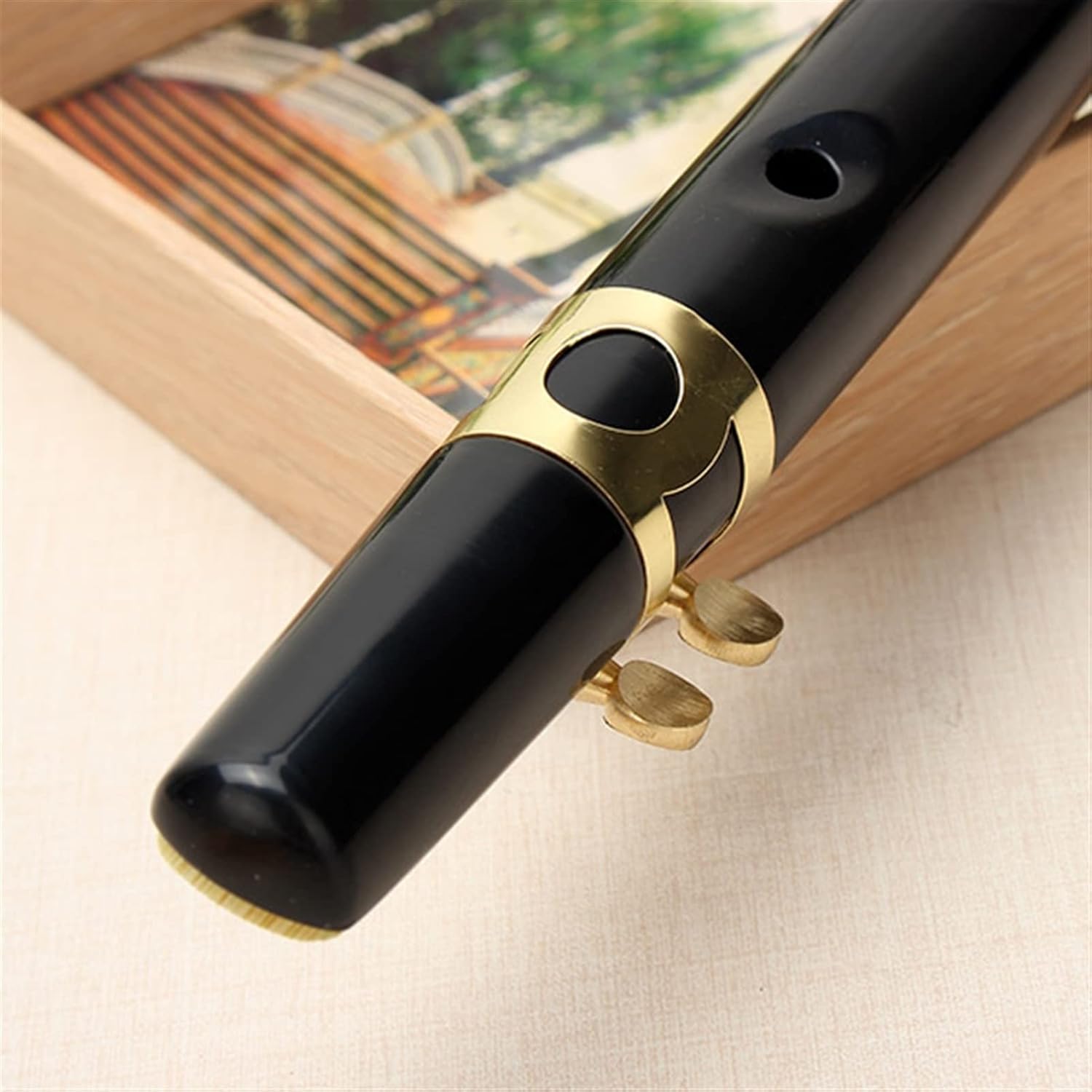 KESHUO Pocket Sax Alto C Tune Mini Sax Saxophone Little Sax ophone Black with Carrying Bag Woodwind Instrument Brass Sax Beginners Kit