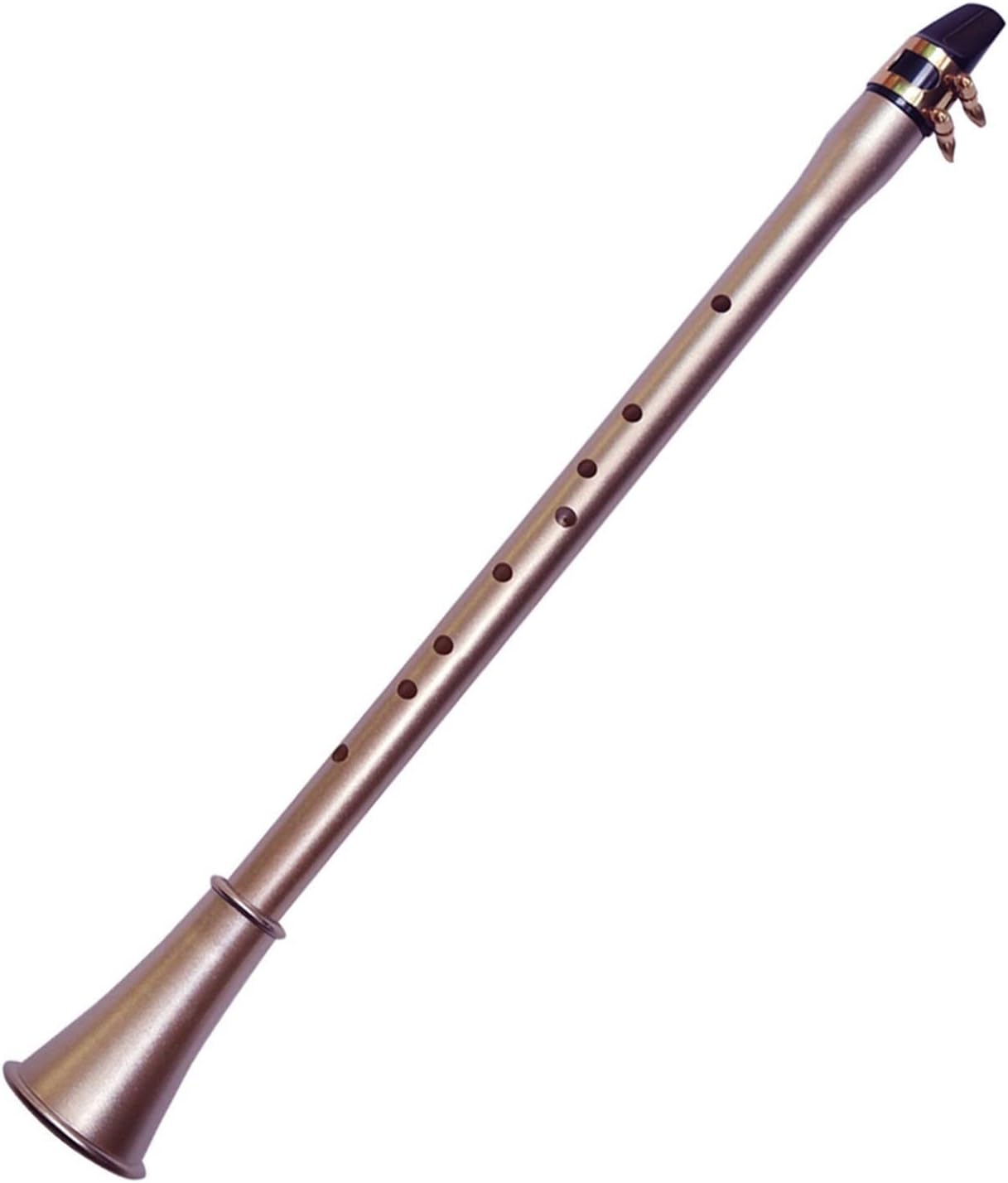 Sax Beginners Kit Pocket Saxophone ABS Sax Mini Portable Saxophone Little Saxophone with Storage Bag Training Saxophone Woodwind Instruments Wind Instrument (Color : C Key)