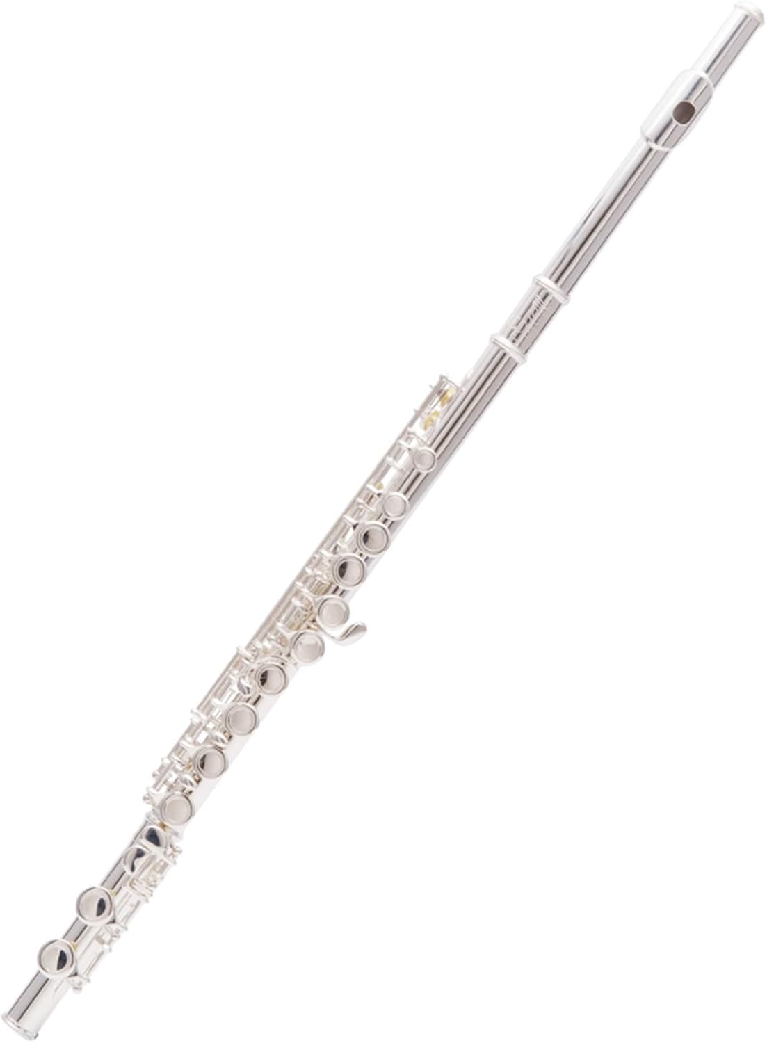 Professional Flute 16 Hole Closed Hole C Major Wind Instrument