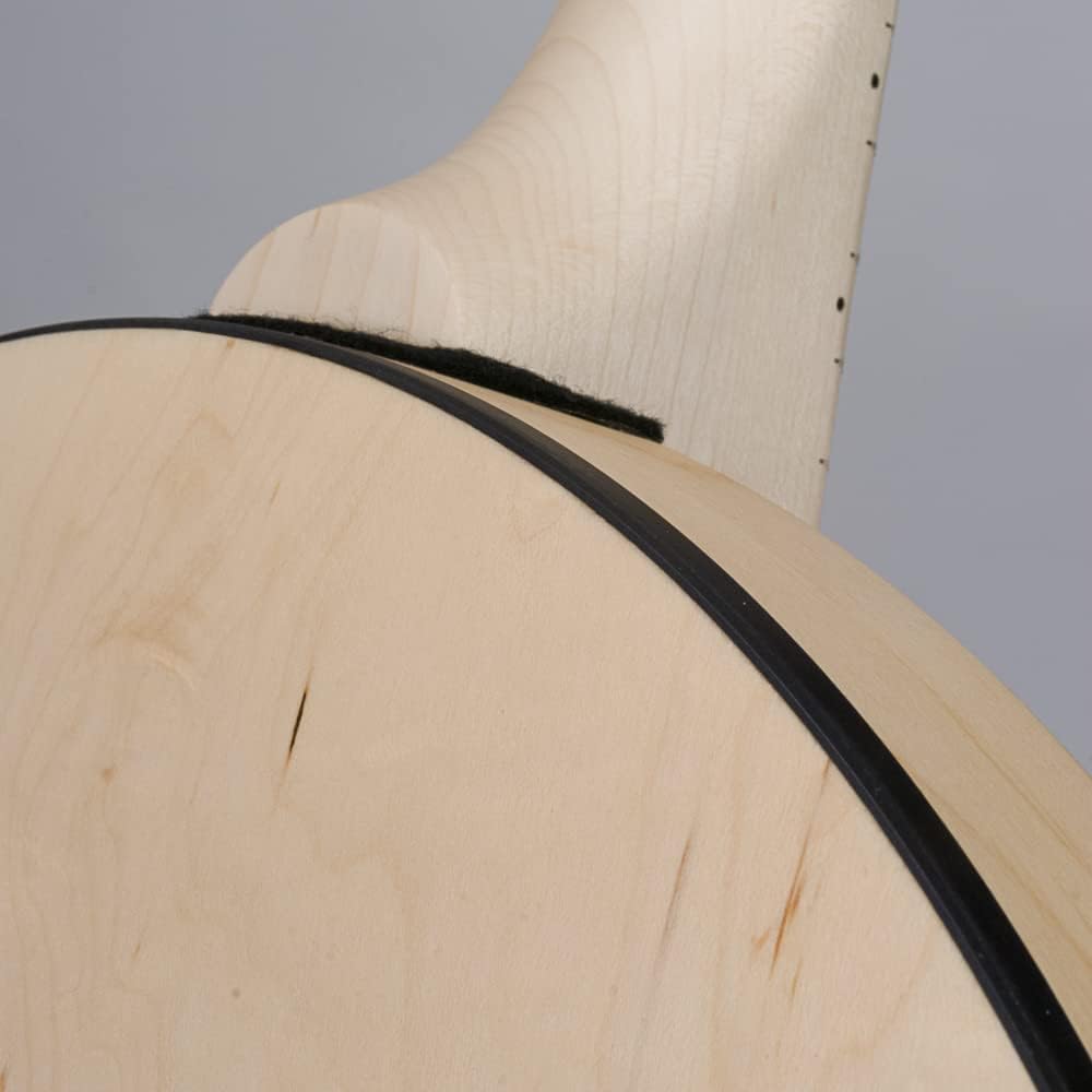 Deering Goodtime Special 5-String Banjo