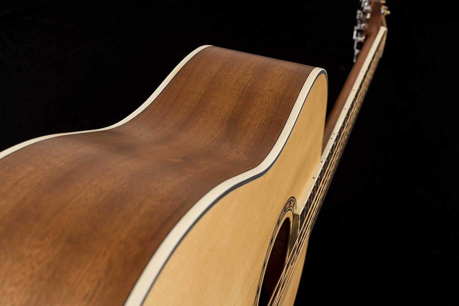 Peavey Delta Woods DW-1 Acoustic Guitar