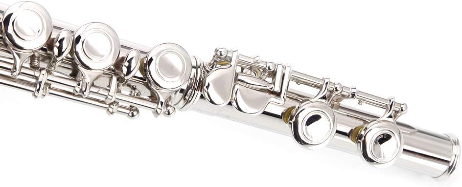 Closed Hole Flutes C 16 Key with E Key kit for Beginner, Kids, Student,Cupronickel Flute with Joint Grease,Cleaning Rod, Carrying Case