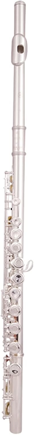 Flute Cupronickel Plated Silver 16 Holes C Key Woodwind Instrument with Gloves Padded Case Flutes (Color : 02)
