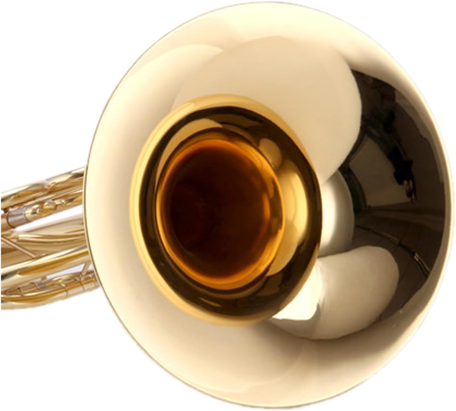 4 Key French Horn Professional French Horn Four Key Double Row Wind Instrument In The Key Of B Flat Or F