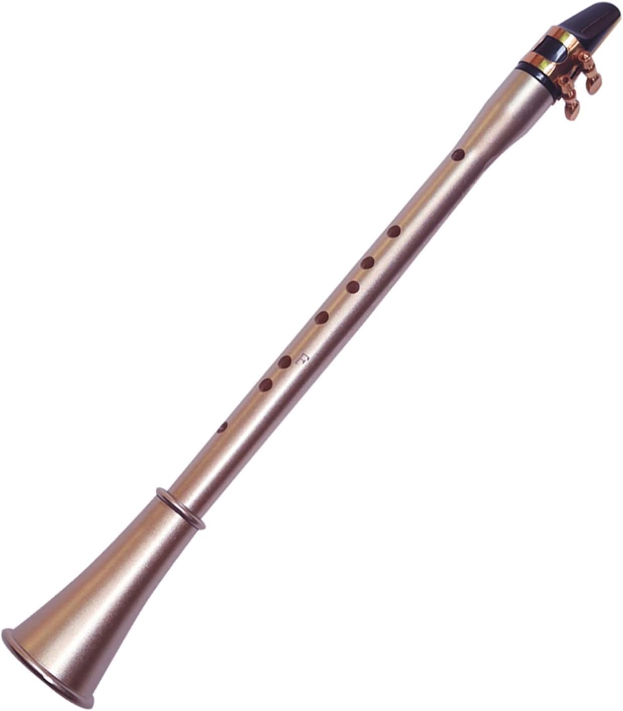 KESHUO Pocket Saxophone ABS Sax Mini Portable Saxophone Little Saxophone with Carrying Bag Woodwind Instrument Brass Sax Beginners Kit (Color : F)