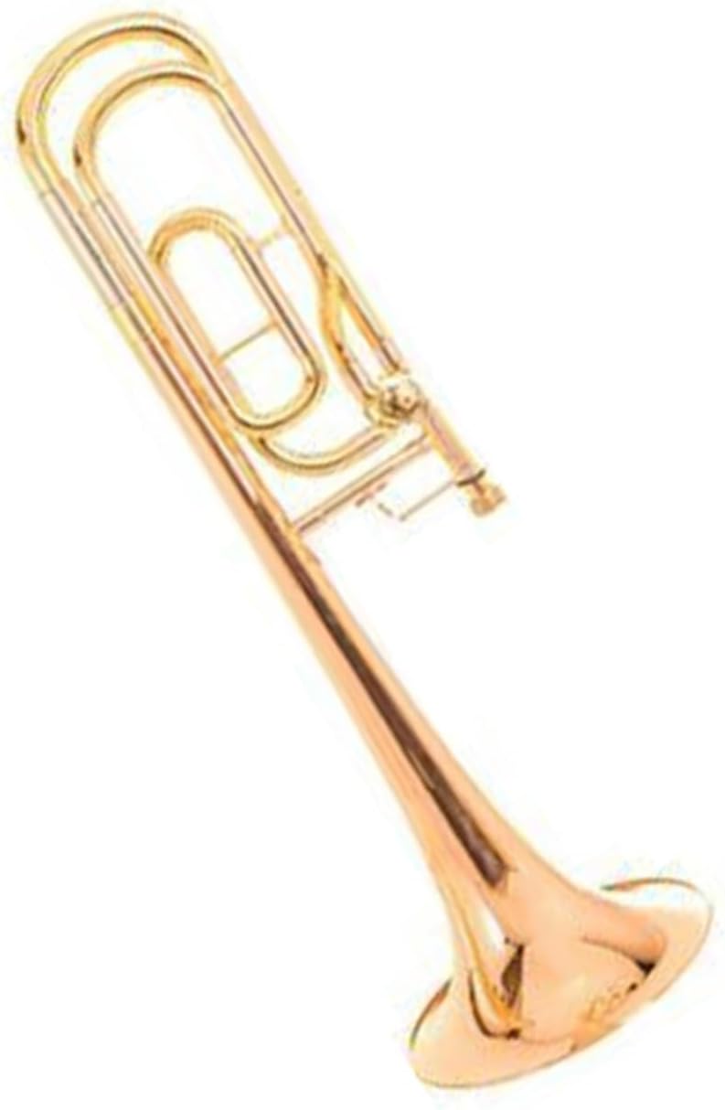 Adult Trombone Instrument Phosphor Bronze Tenor Brass Instrument In B/F Tuning(2)