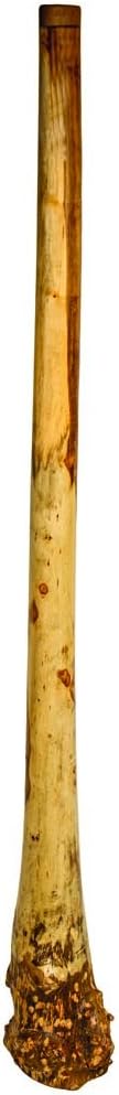 Handmade Didgeridoo Root Eucalyptus 59