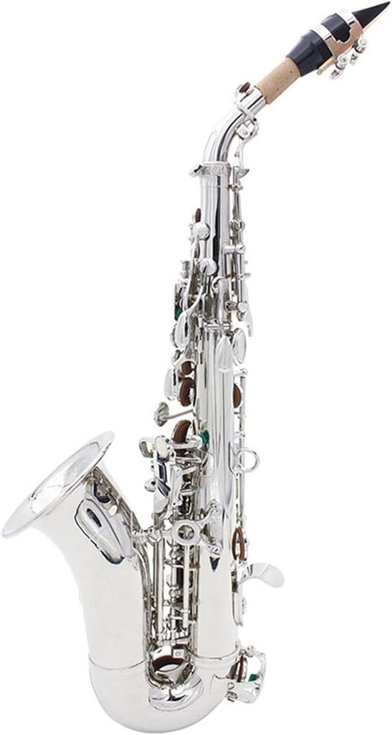 Sax Beginners Kit Bb Saxophone Silver Plated Brass Professional Woodwind Instrument B Flat Sax with Case Musical Instrument Accessories Wind Instrument