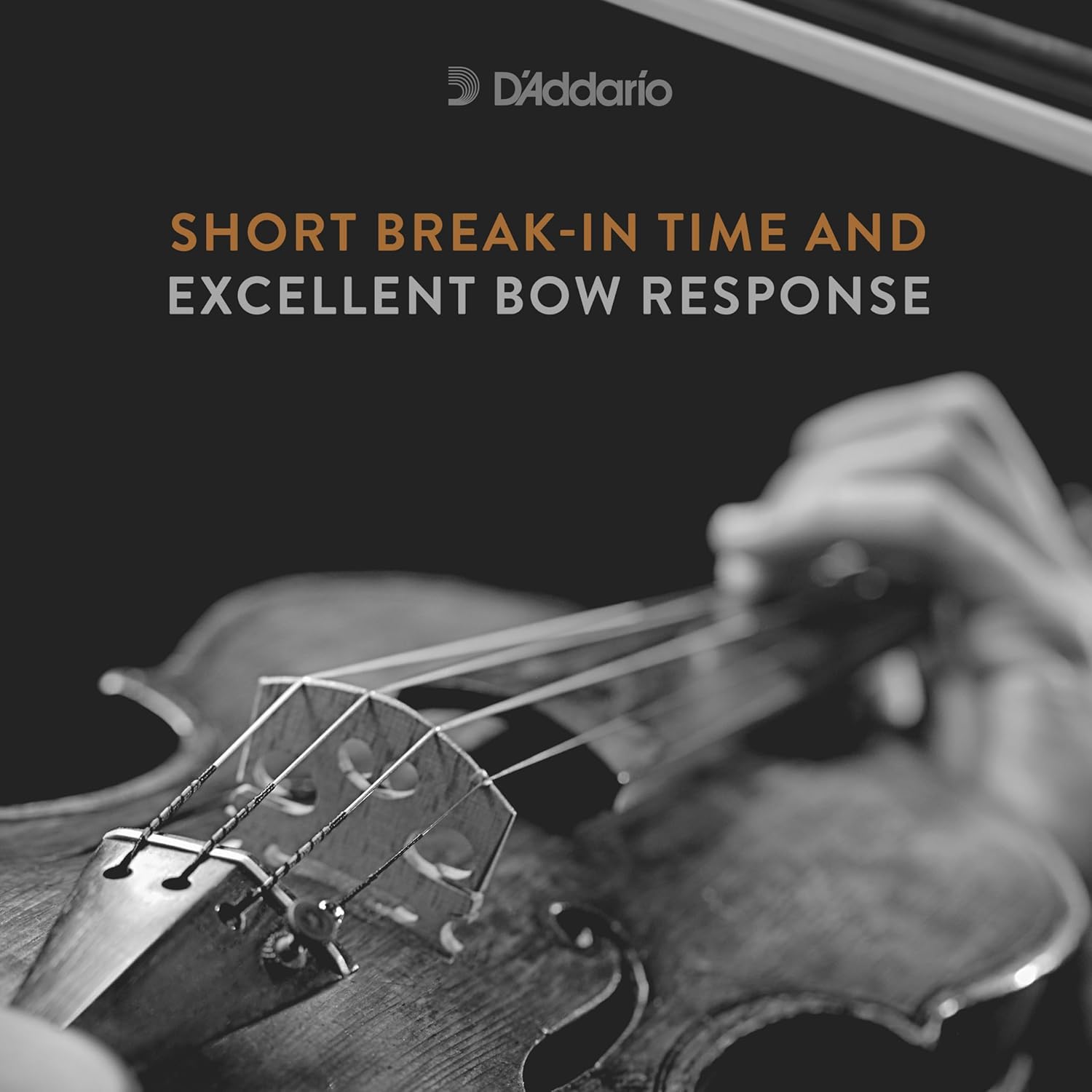 D'Addario Kaplan Bass Strings - Full Set - K610 3/4M - For Upright Bass, Double Bass - 3/4 Scale, Medium Tension