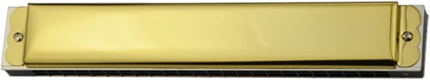 Harmonica Tremolo 24 Holes Harmonica Professional Mouth Organ harp Instrumentos Key C ABS Comb Musical Instruments (Color : Silver Color 12pcs)