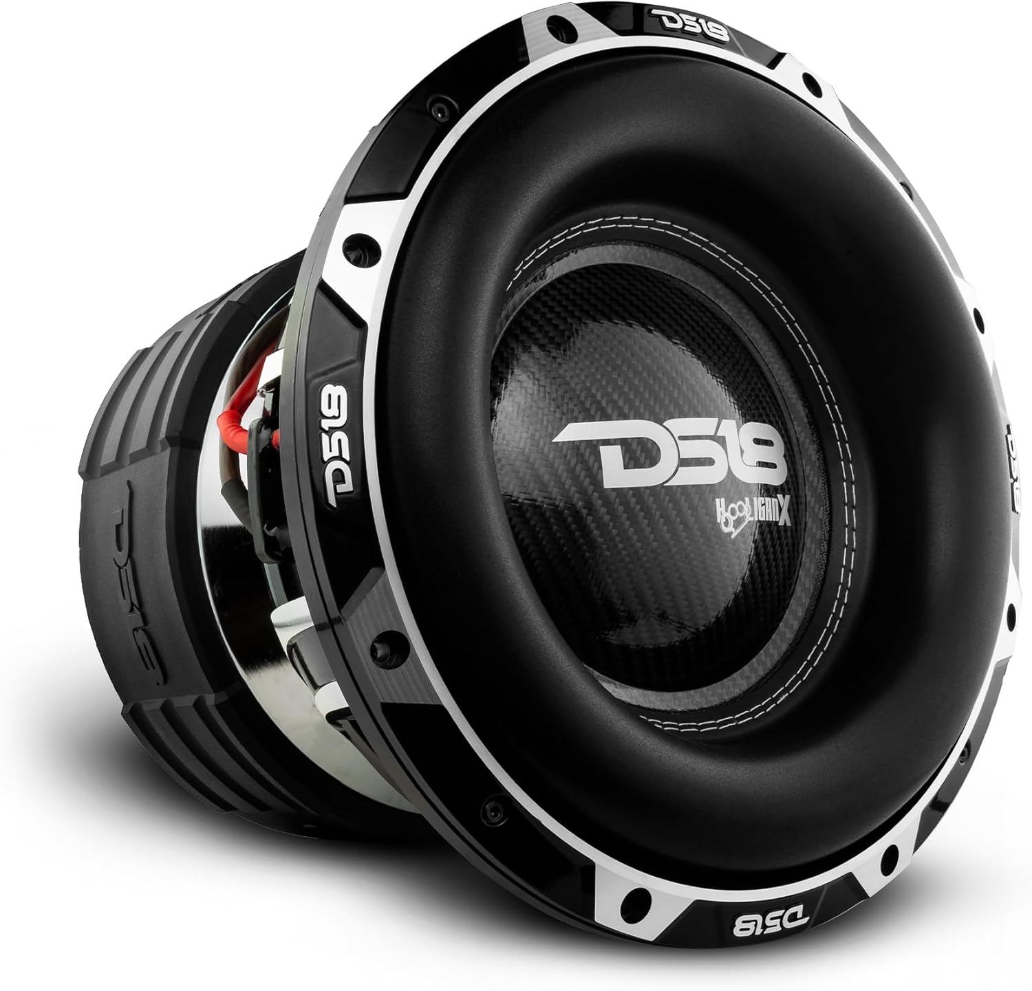 DS18 HOOL-X12.2DHE Hooligan 12