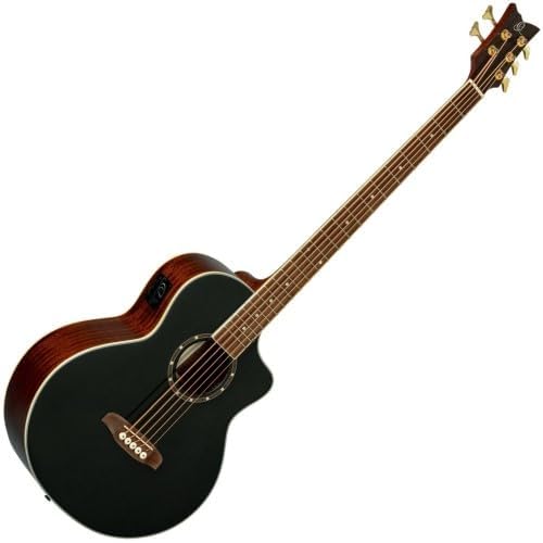 Deep Series Medium Scale Acoustic-Electric Bass