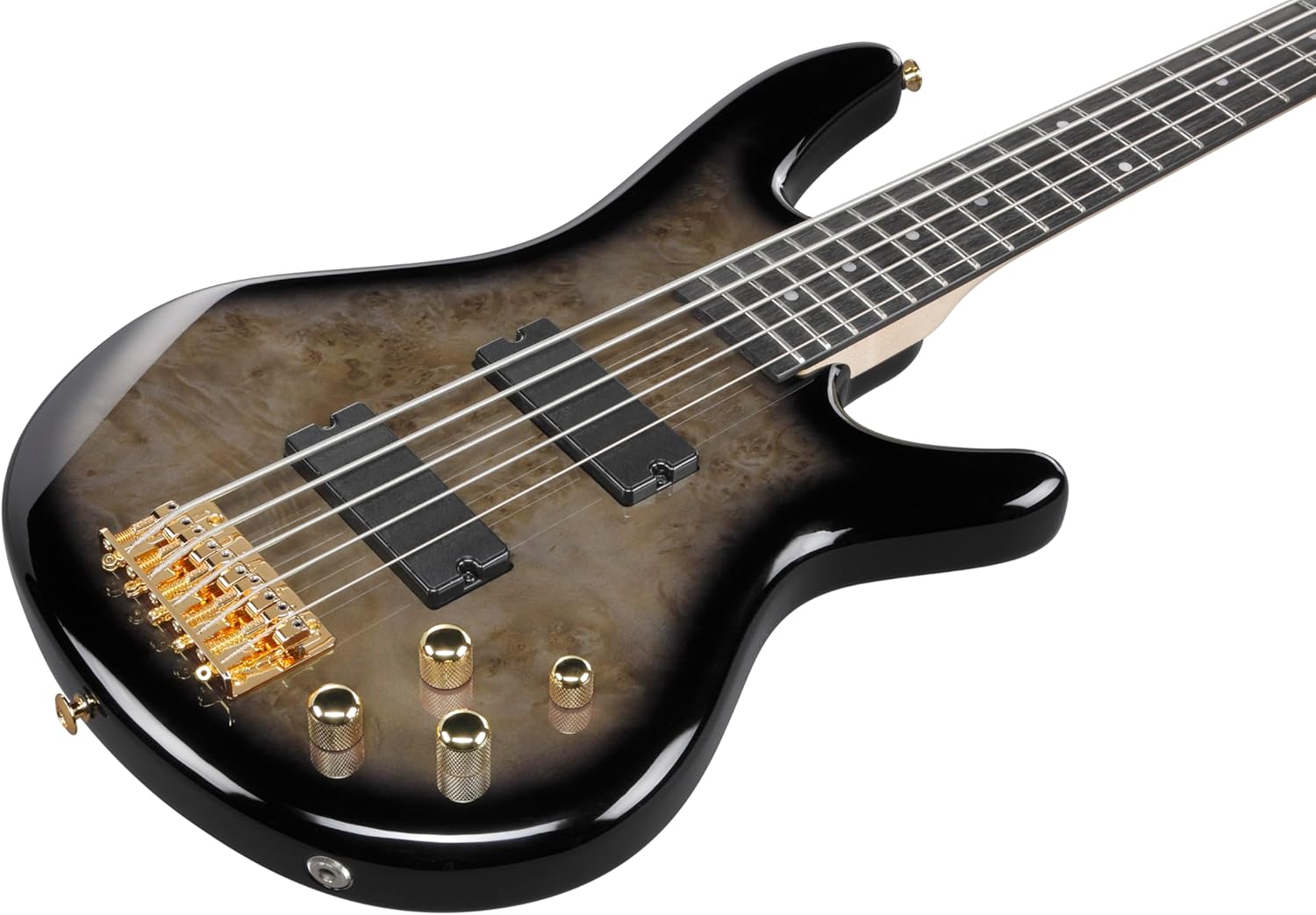 Ibanez GSR205PC GIO 5-String Bass Guitar, Purpleheart Fingerboard, Transparent Pale Black Burst