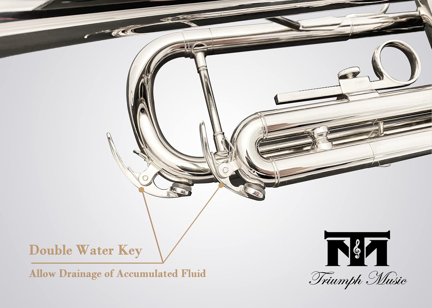 Triumph Bb Trumpet, Brass Instrument, Standard Trumpet Set for Students Beginners with Hard Case, Valve Oil, Cleaning Kit, 7C Mouthpiece, White Gloves, 6416N (Nickel Silver)