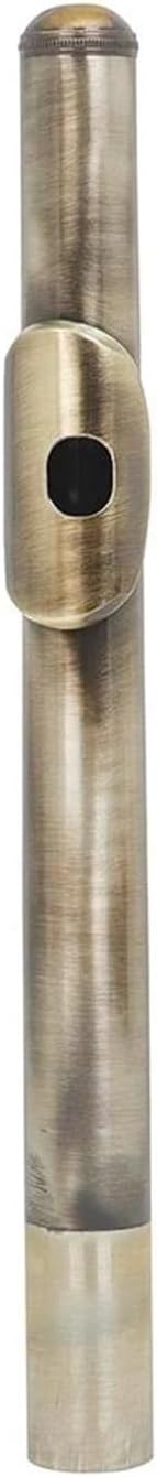 Flute Set 16 Closed Hole Flute C Tone Woodwind Instrument Green Copper Nickel Practical Material