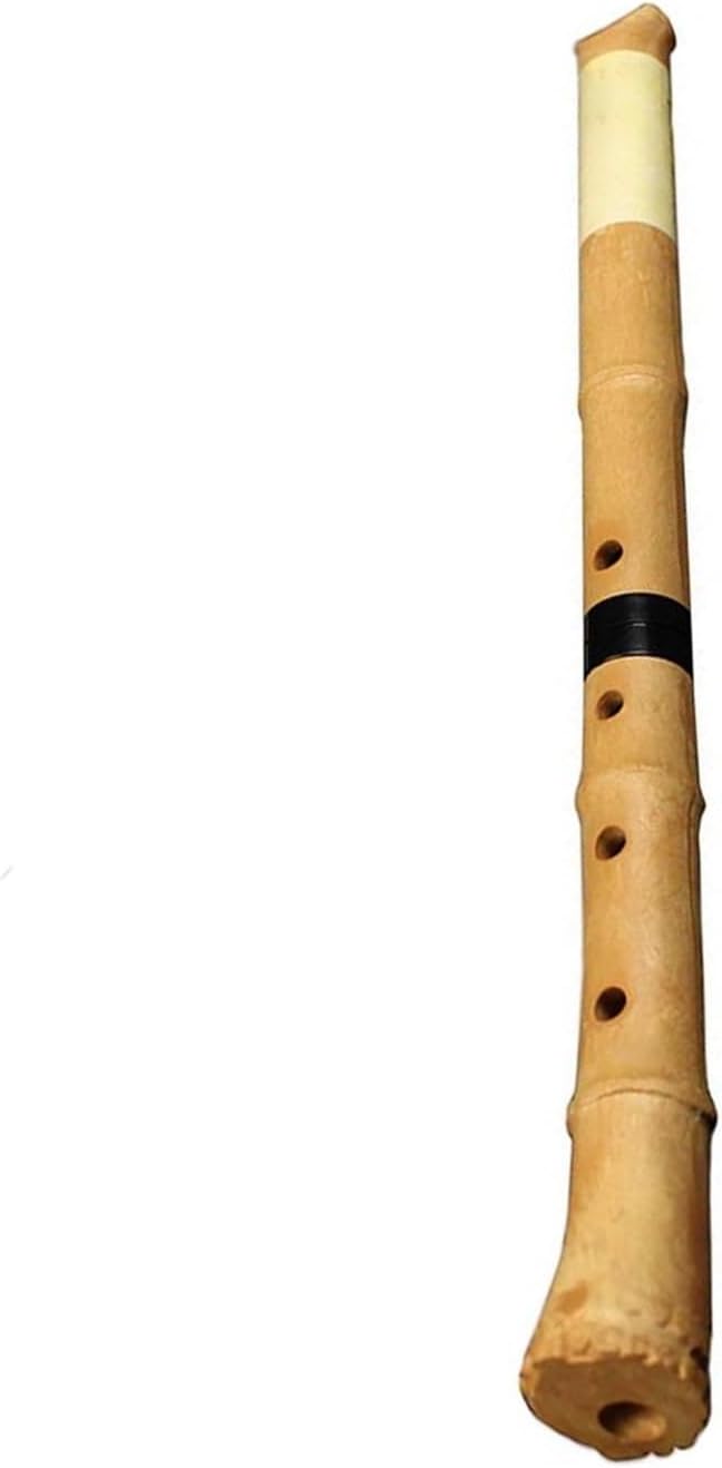 C Bamboo Flute Resin Shakuhachi D Key Flute Wooden Wind Instrument