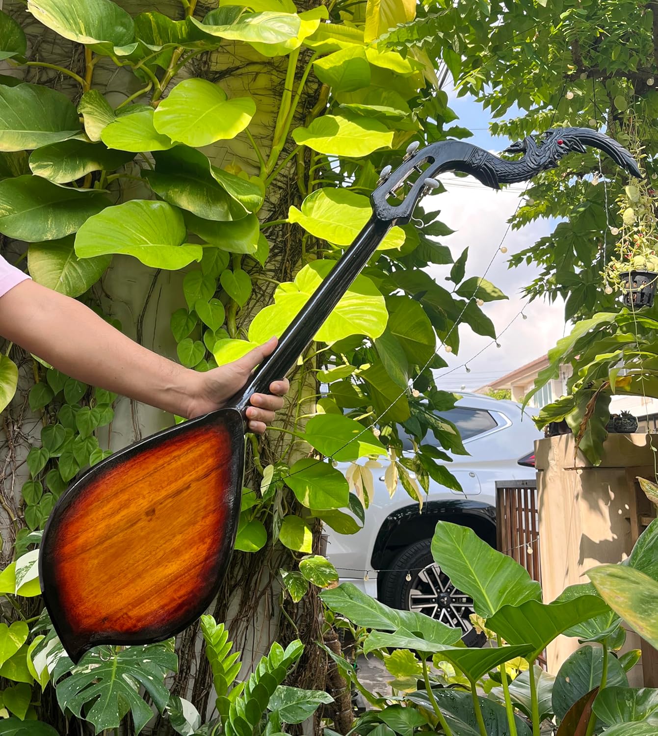 Isarn Acoustic Phin 3 Strings,Thai Lao Guitar Musical Instrument,Traditional Thai Musical Pin N01