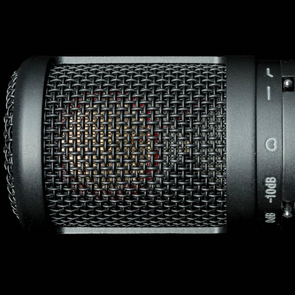 sE Electronics sE2200 Large-Diaphragm Condenser Microphone Bundle w/Pig Hog PHM10 8mm Mic Cable Polishing Cloth