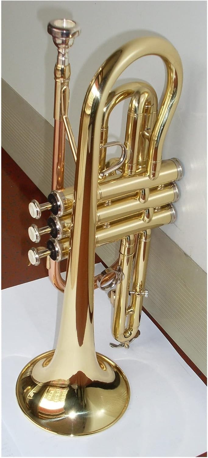 FLFL Student Trumpet Brass Body Gold Lacquer Phosphor Copper Leadpipe Bb Cornet