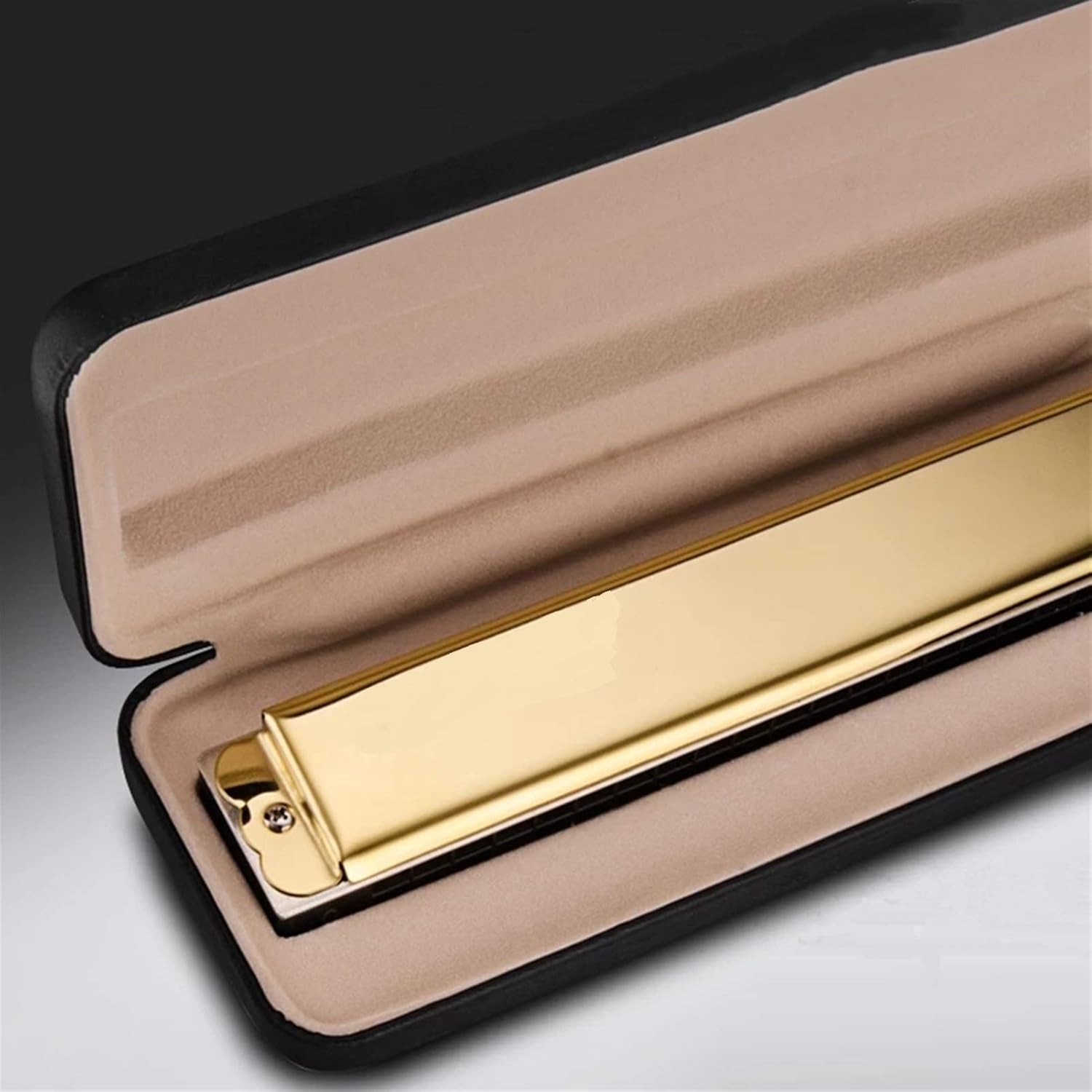 Harmonica Tremolo 24 Holes Harmonica Professional Mouth Organ harp Instrumentos Key C ABS Comb Musical Instruments (Color : Silver Color 12pcs)